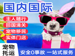 揭阳航空快递国际宠物托运 【国